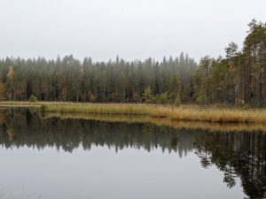 Luonnossa voi auttaa stressin hoidossa